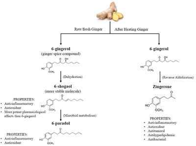 Potential Role of Ginger (Zingiber officinale Roscoe) in the Prevention of Neurodegenerative Diseases